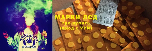 стафф Володарск