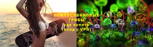 дурь Волоколамск