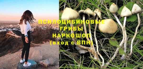 стафф Володарск