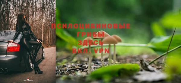 стафф Володарск
