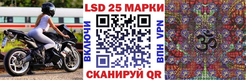 Марки NBOMe 1,8мг Купить Болотное