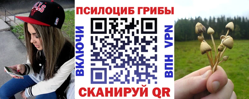 Галлюциногенные грибы MAGIC MUSHROOMS  Купить закладки  Болотное 